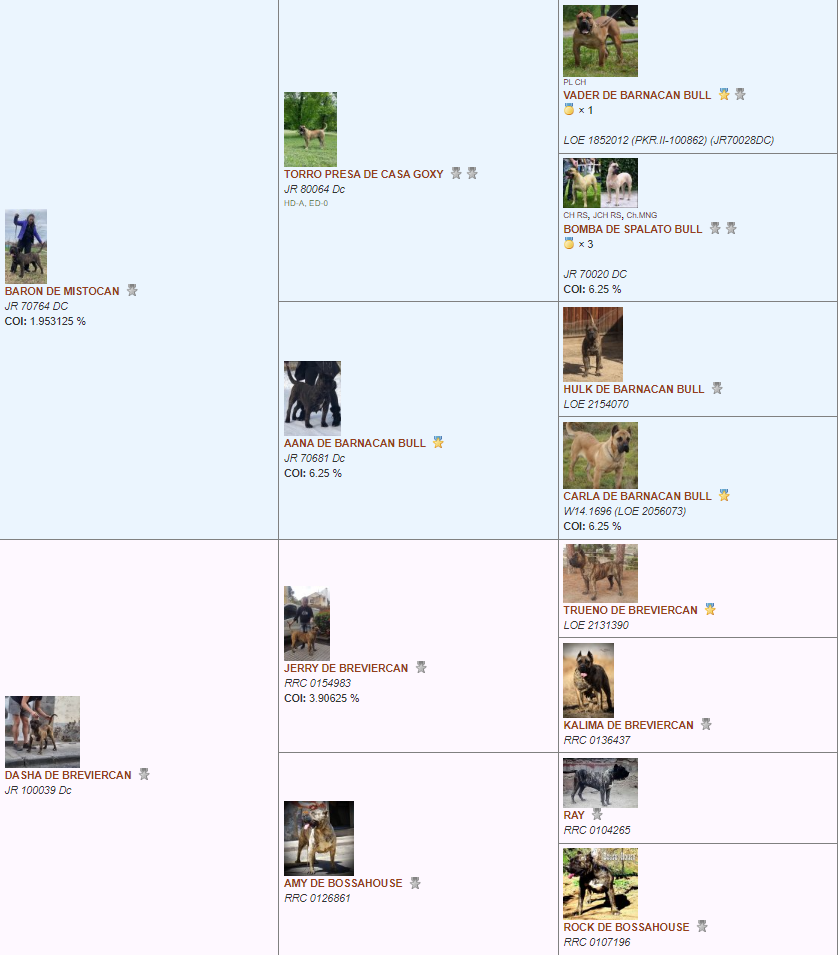 IDOL-PEDIGREE