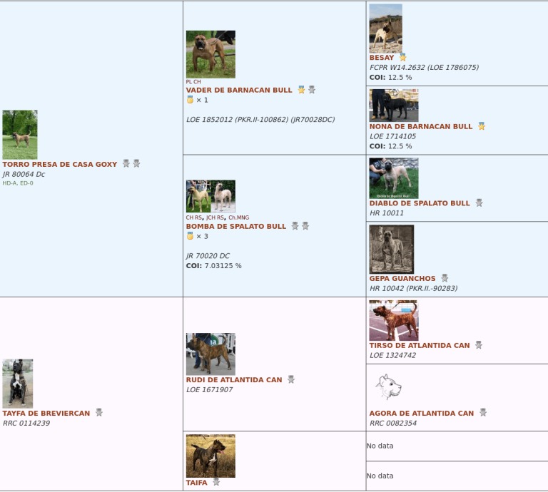 Jacky-Pedigree-768×690