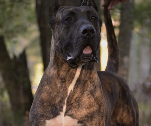 male3