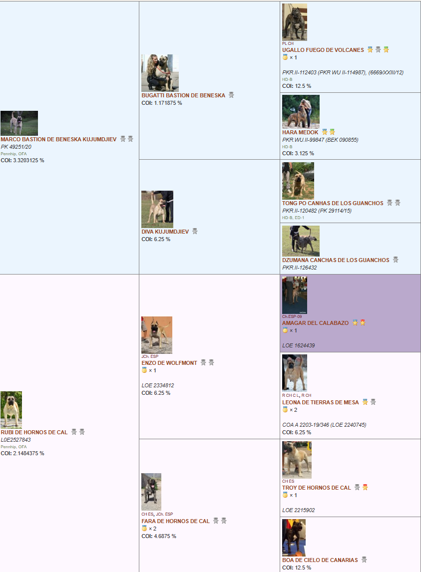 Costa de La Fundacion K-9 Pedigree